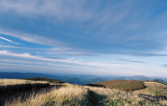 Conservation Planning